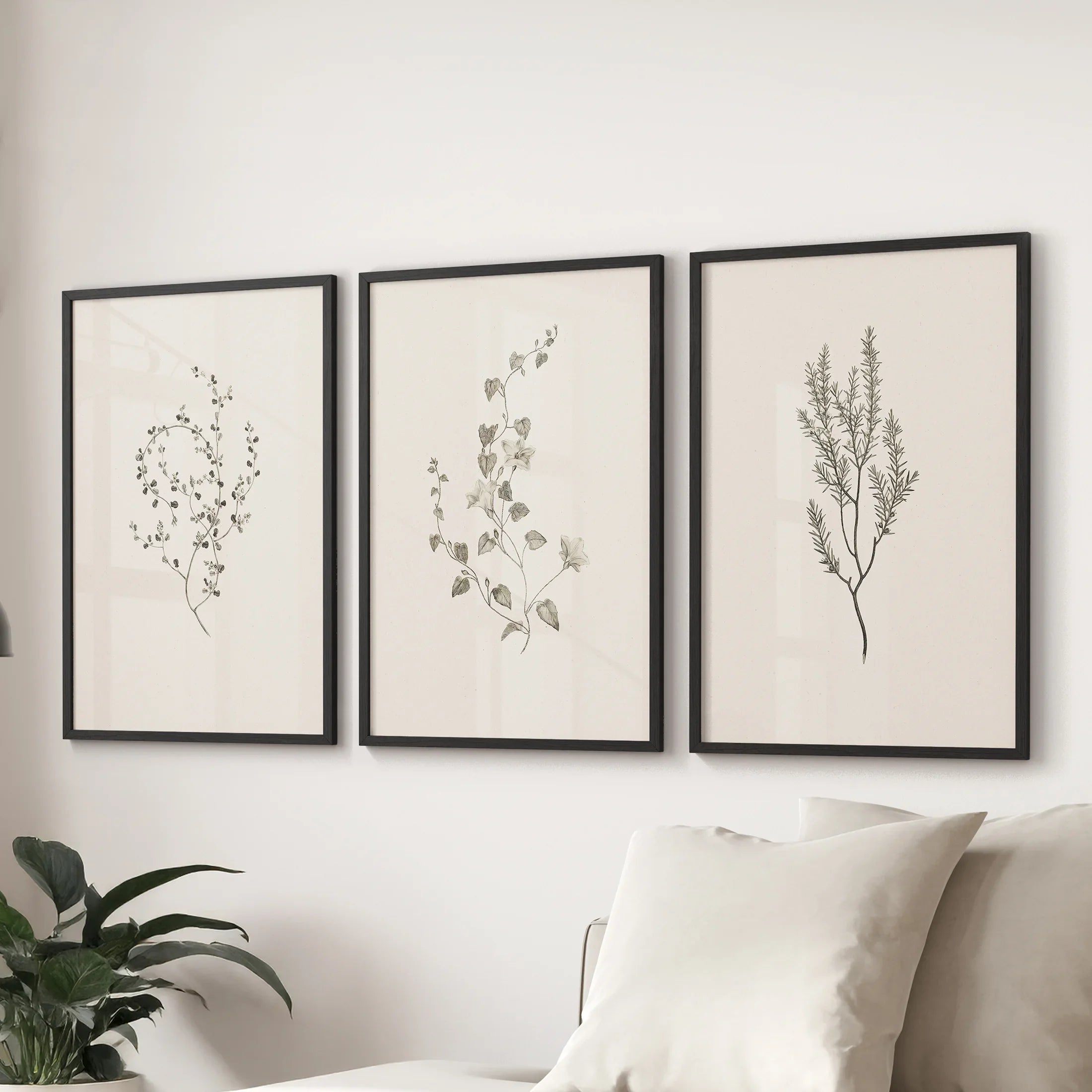 Vintage Dried Flower Wall Art. Set of 3 Rustic Botanical Prints