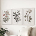 Set of 3 Floral Posters. Rose Flower Vintage Wall Art