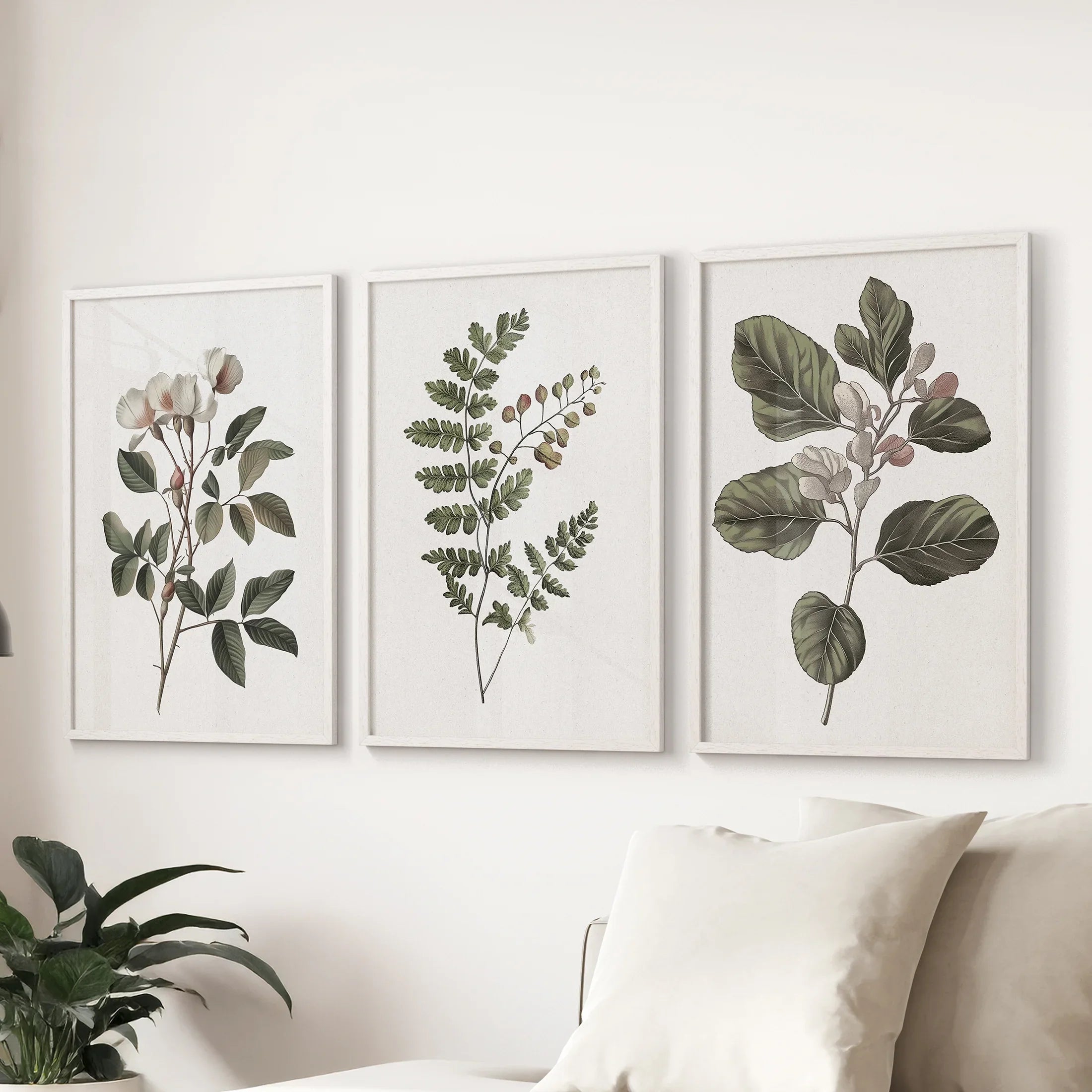 Minimalist Lithographic Plants Prints. 3 Piece Botanical Art