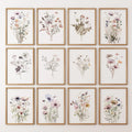 Neutral Wildflower Wall Art Set of 12. Botanical Prints