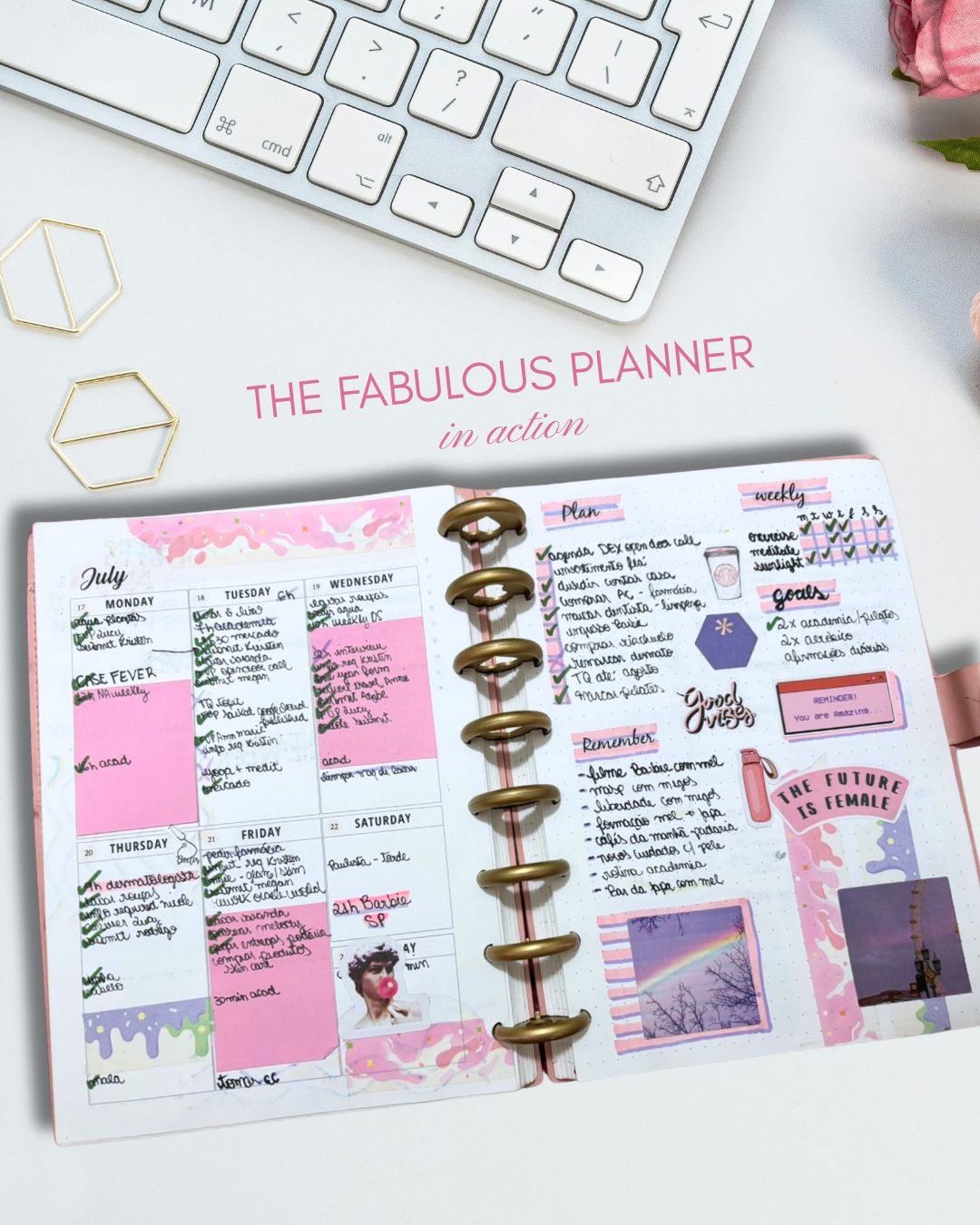 2026 Weekly and Monthly Discbound Planner - Laminated Cover