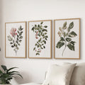 Floral Set of 3 Piece Wall Art. Magnolia, Honeysuckle Prints