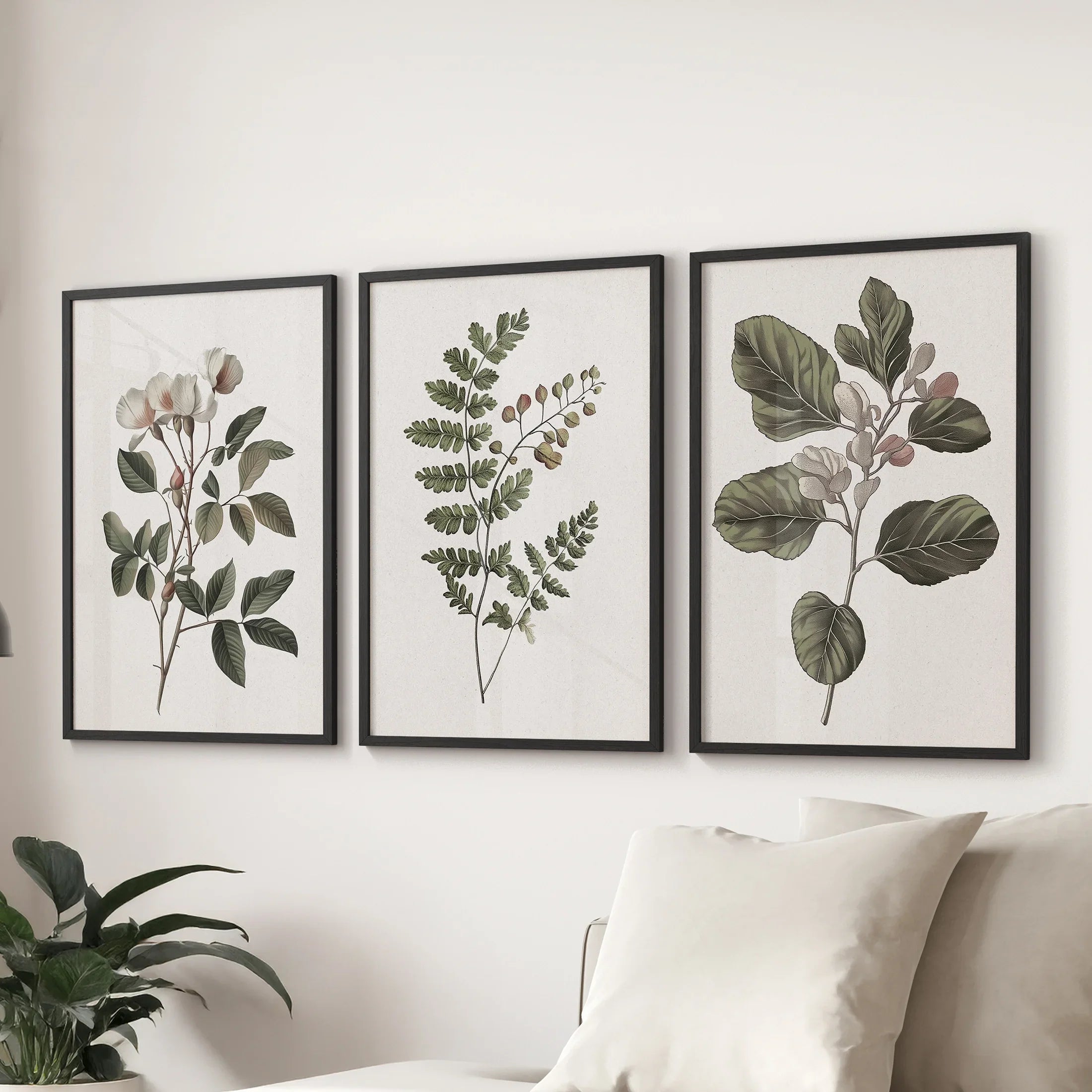 Minimalist Lithographic Plants Prints. 3 Piece Botanical Art