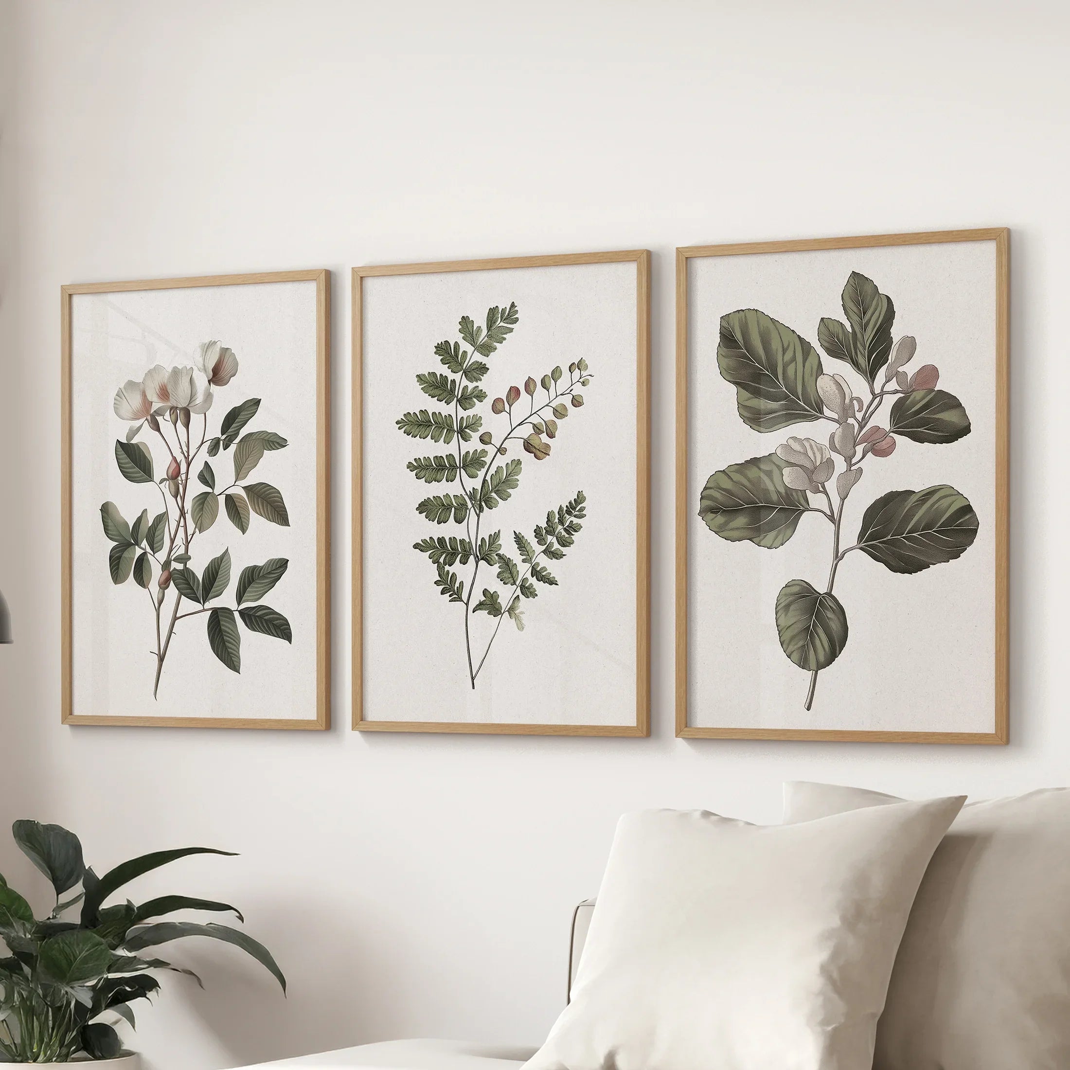 Minimalist Lithographic Plants Prints. 3 Piece Botanical Art