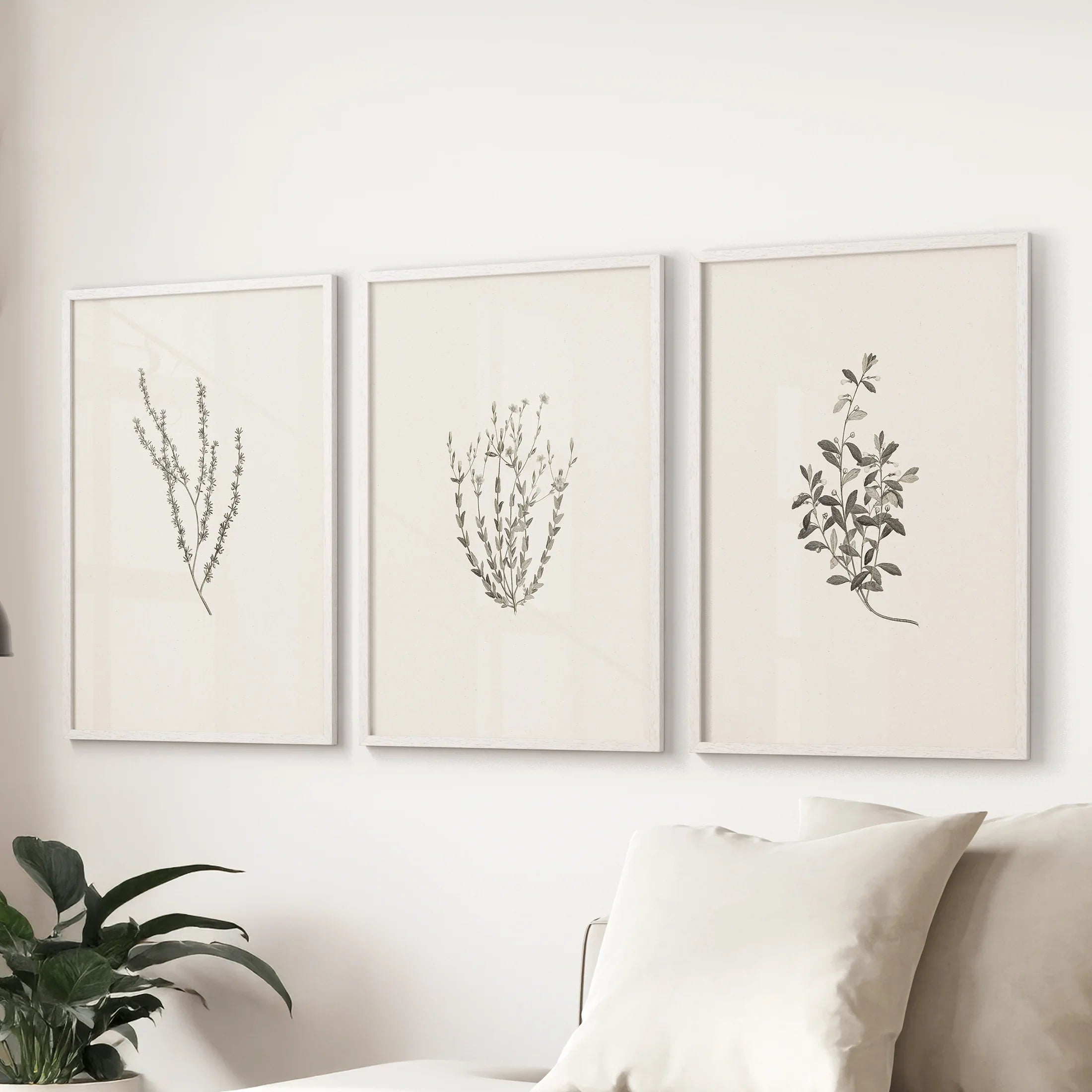 Vintage Botanical 3 Piece Wall Decor. Rustic Dried Flower Prints