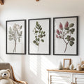 Rustic Botanical Print Set of 3. Vintage Flowers Wall Art