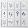 Nautical Modern Marine Life Wall Art. Navy Blue Set of 12