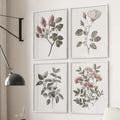 Vintage Floral Set of 4 Prints. Botanical Wall Art