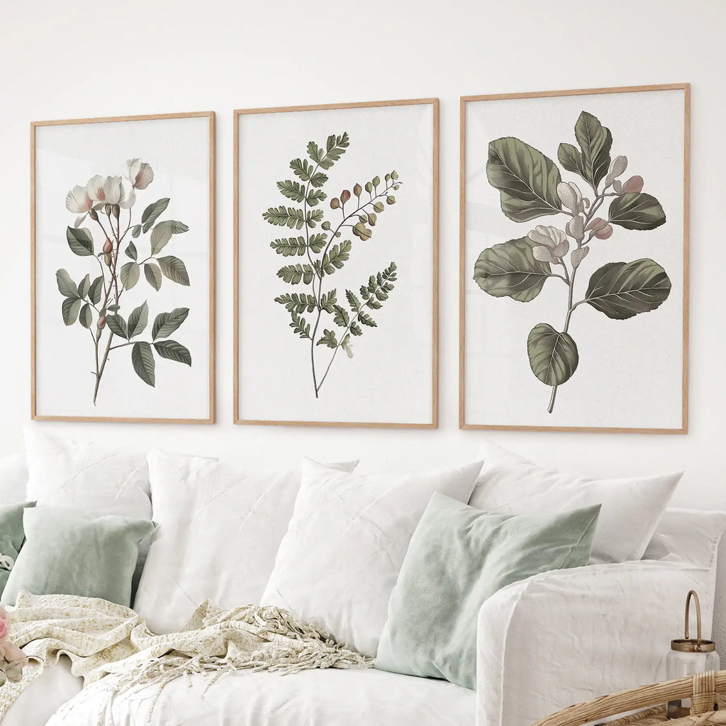 Minimalist Lithographic Plants Prints. 3 Piece Botanical Art