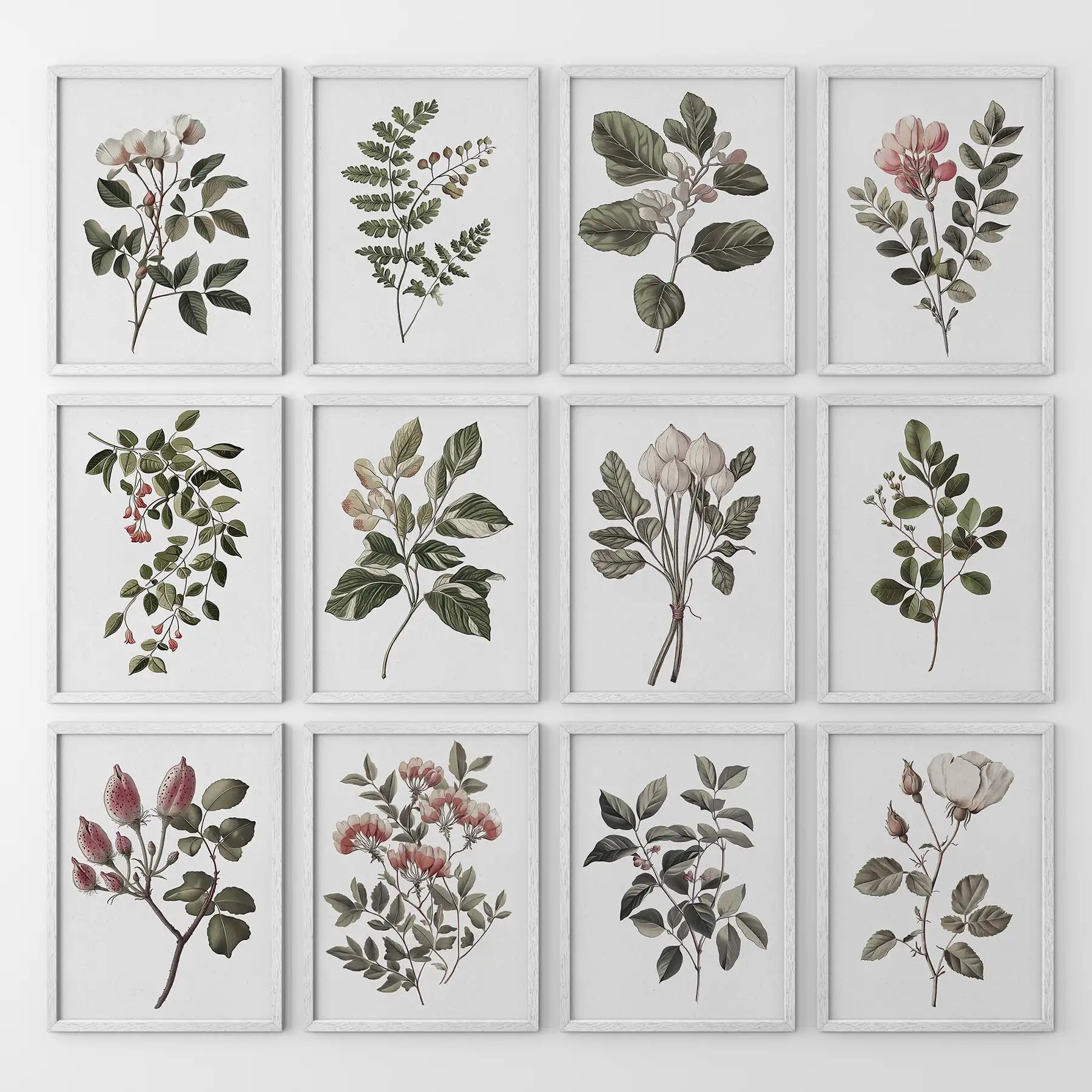 Magnolia, Fuchsia, Fig Plant Prints. Green Set of 12 Wall Art