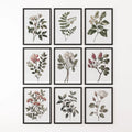 Set of 9 Botanical Posters. Vintage Flowers Wall Art