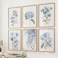 Watercolor Hydrangea, Wisteria Wall Art. Set of 6 Prints