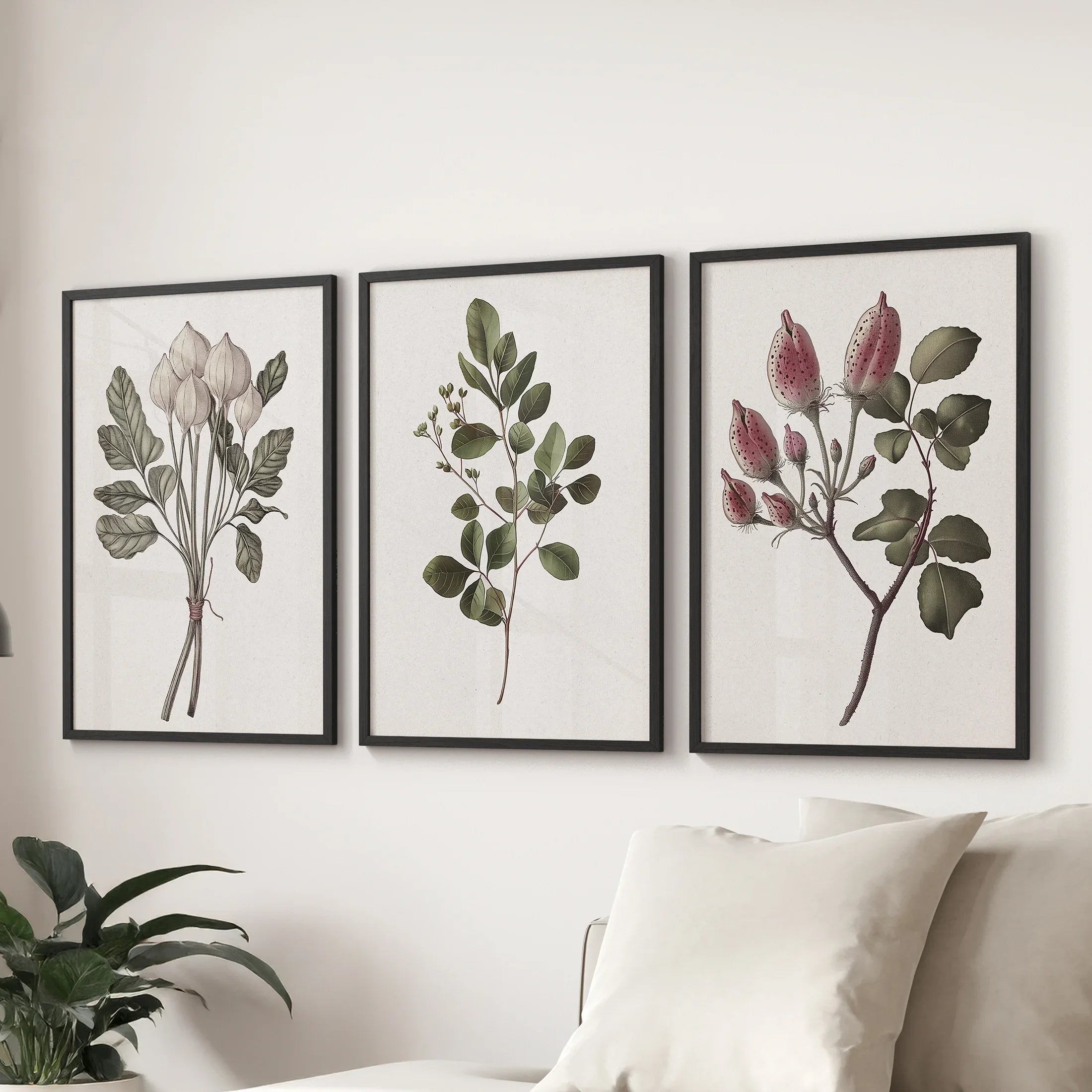 Rustic Botanical Print Set of 3. Vintage Flowers Wall Art
