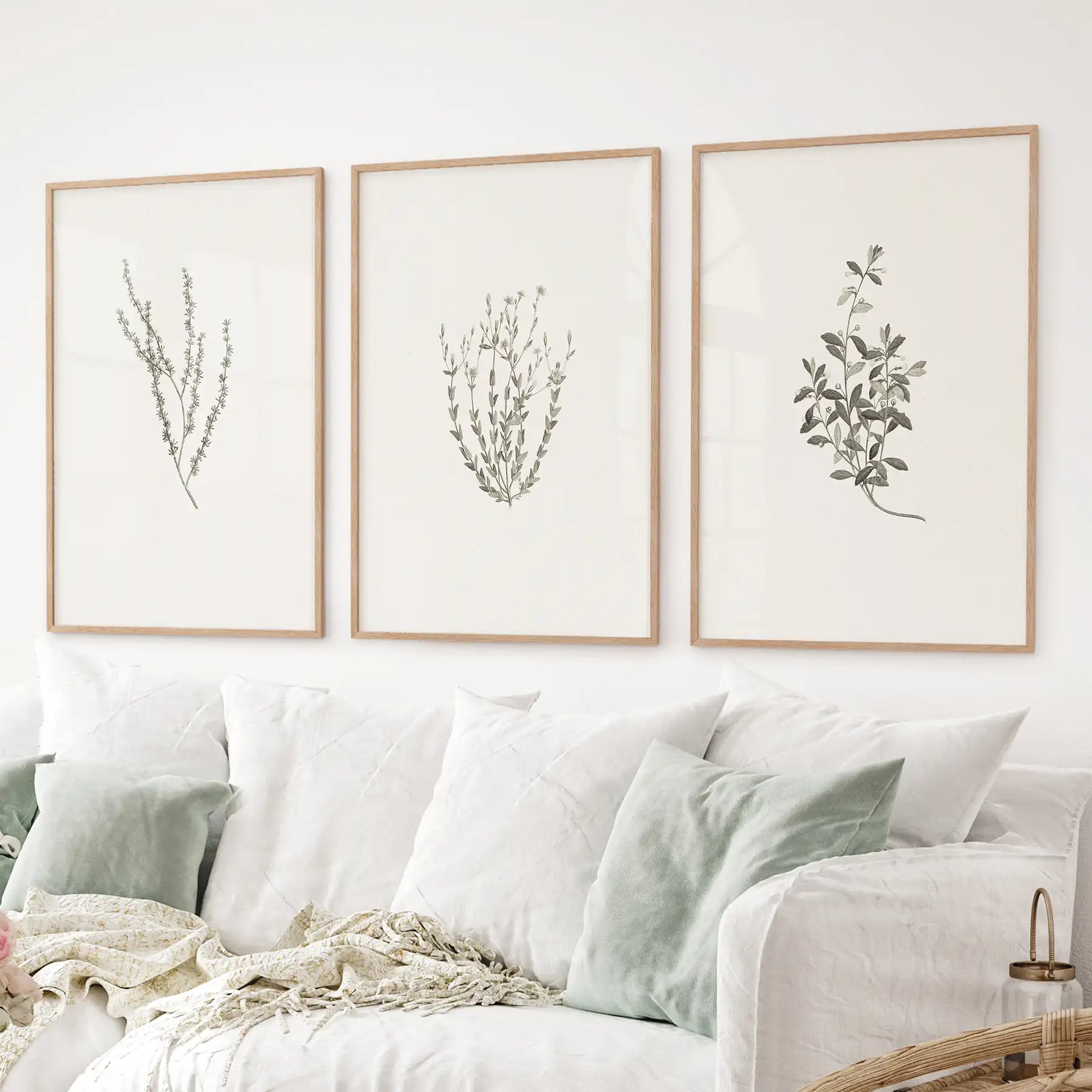 Vintage Botanical 3 Piece Wall Decor. Rustic Dried Flower Prints