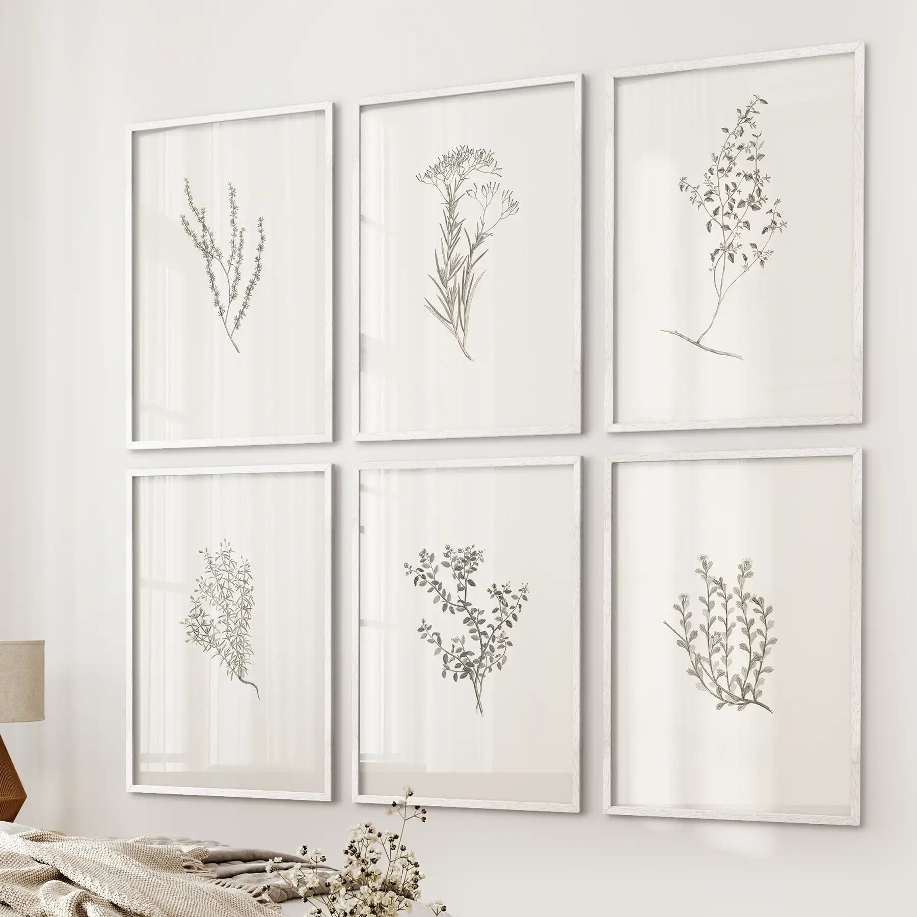 Minimalistic Herb Sketch Prints. Botanical Set of 6