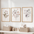 Meadow Wildflower Print Set of 3 Pieces. Watercolor Botanical Prints