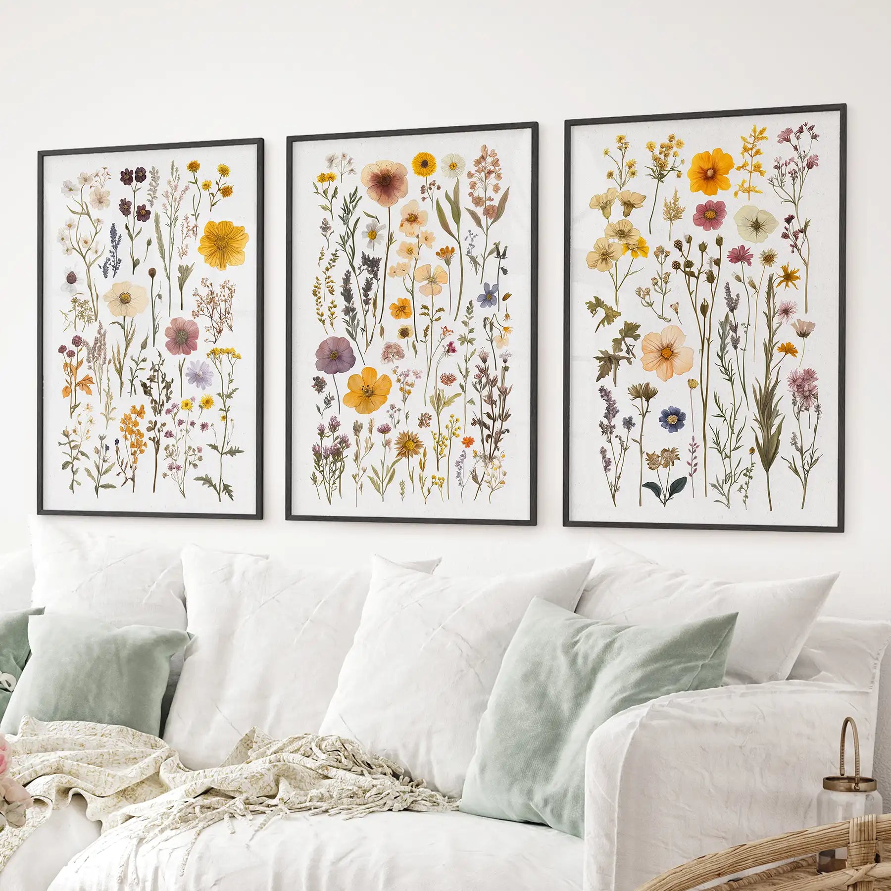 Colorful Botanical Flower Set of 3. Wildflower Prints