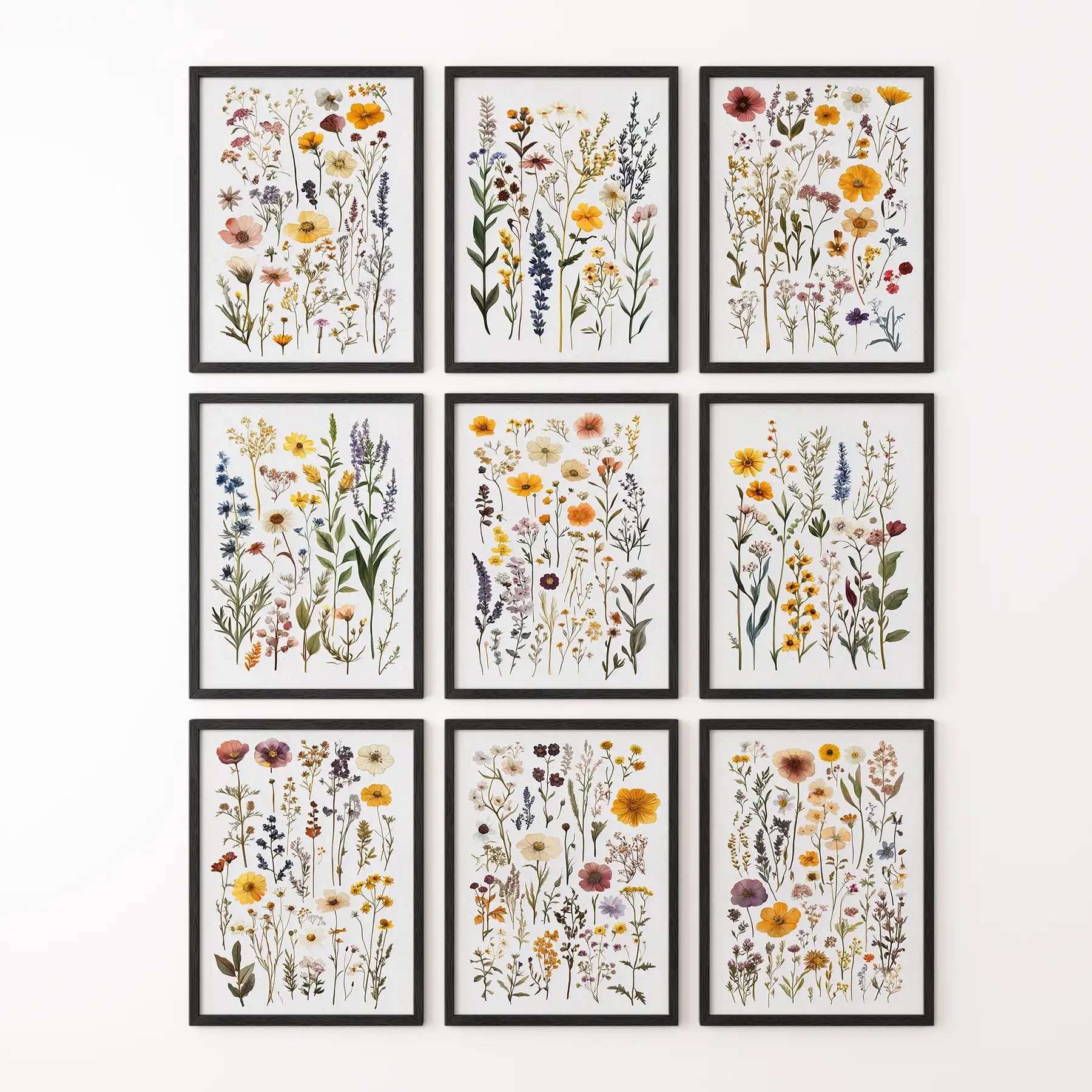 Meadow Wildflowers Prints. Floral Wall Art Set of 9 Pieces